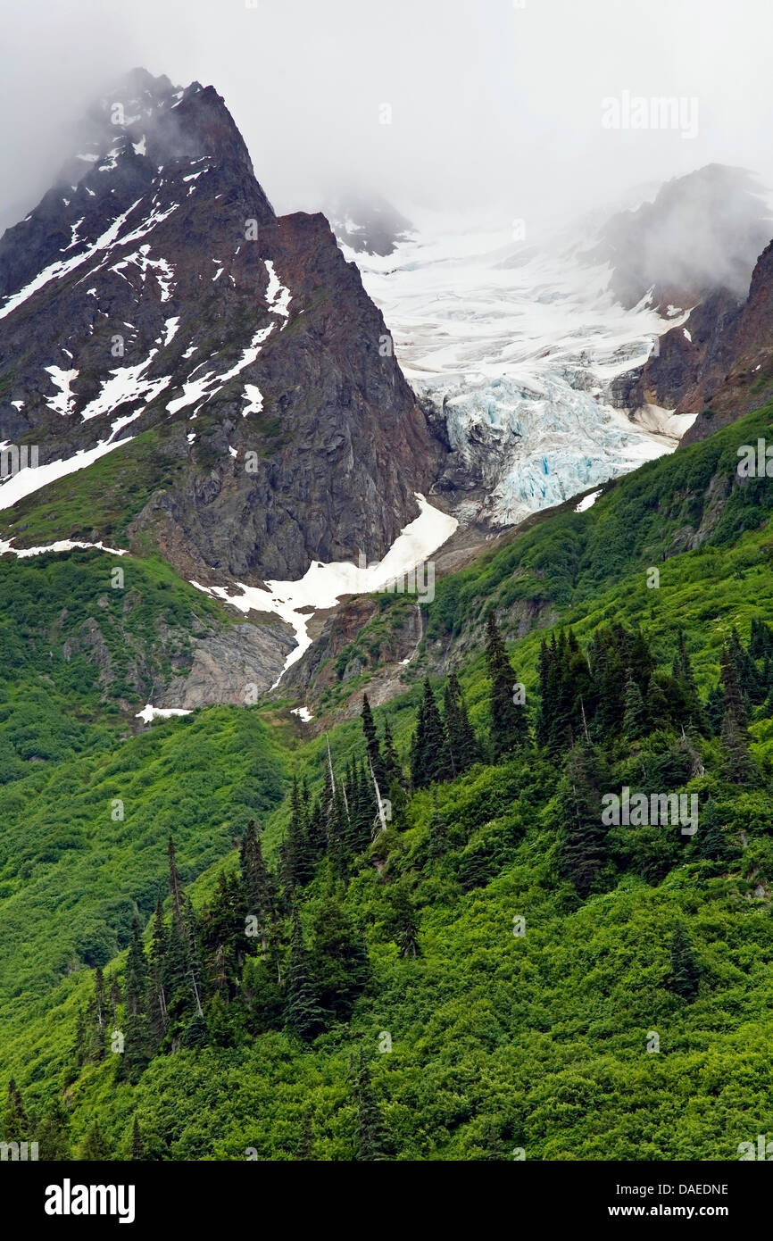 Gletscher auf Autobahn 37a, Kanada, British Columbia Stockfoto