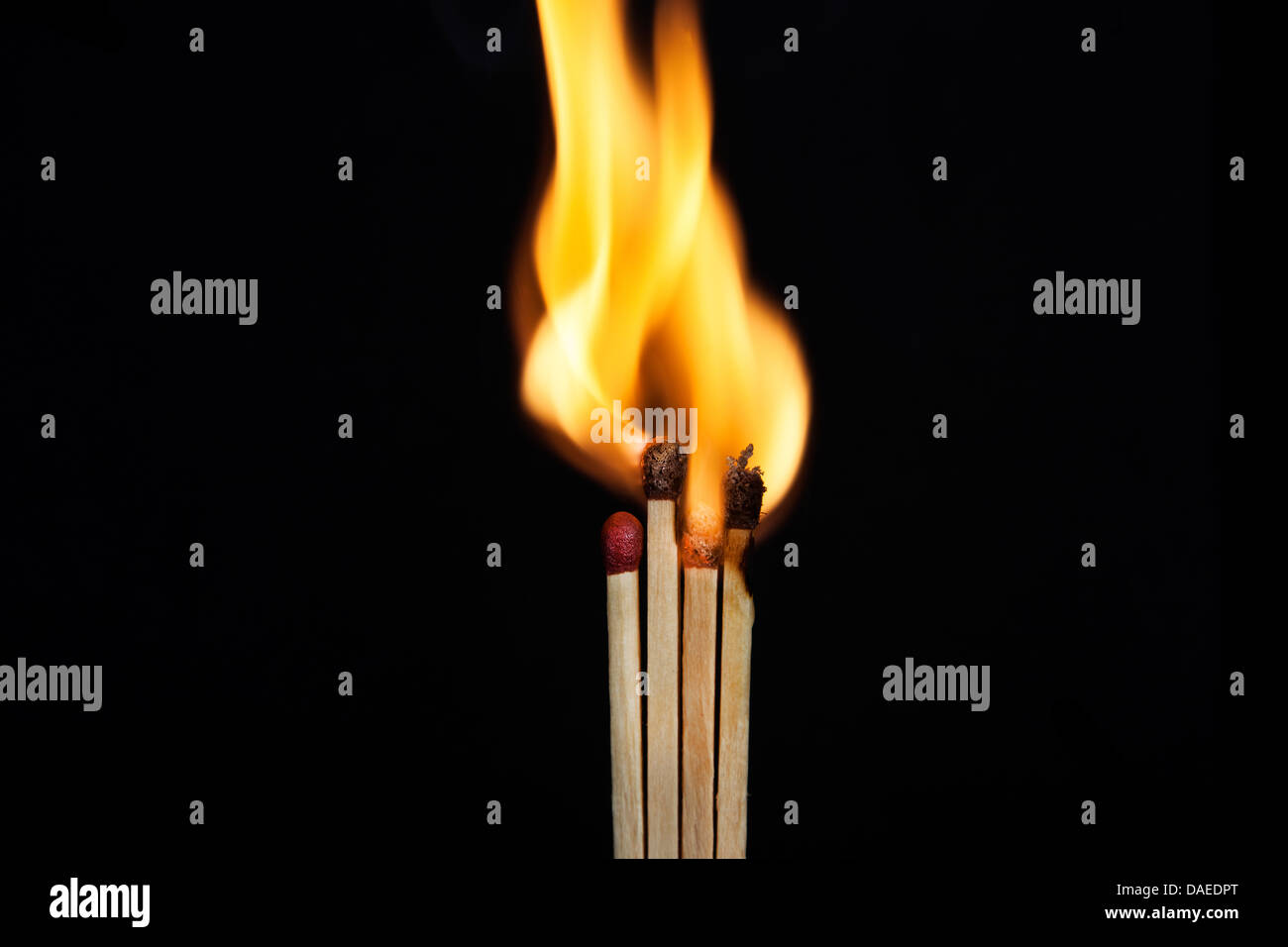 entsprechen Sie Flamme Matchstick schwarzes Feuer Hintergrund Blaze Closeup Stick leicht brennenden isoliert niemand Schwefel macht gelbe Temperatur f Stockfoto