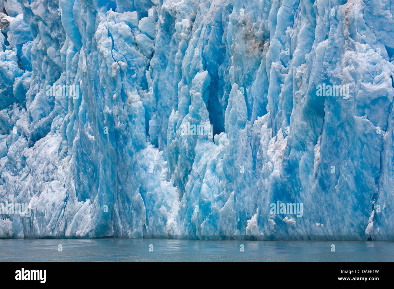 Sawyer Gletscher, Tracy Arm, USA, Alaska, Juneau, Tongass National Forest Stockfoto