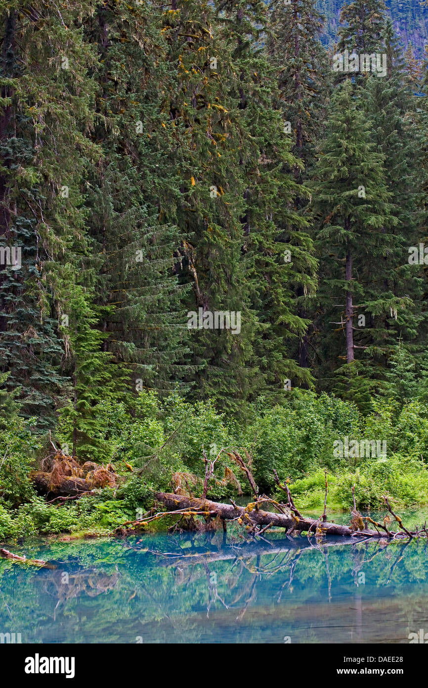 Blaue Lagune an der Fish Creek, USA, Alaska, Tongass National Forest, Hyder Stockfoto