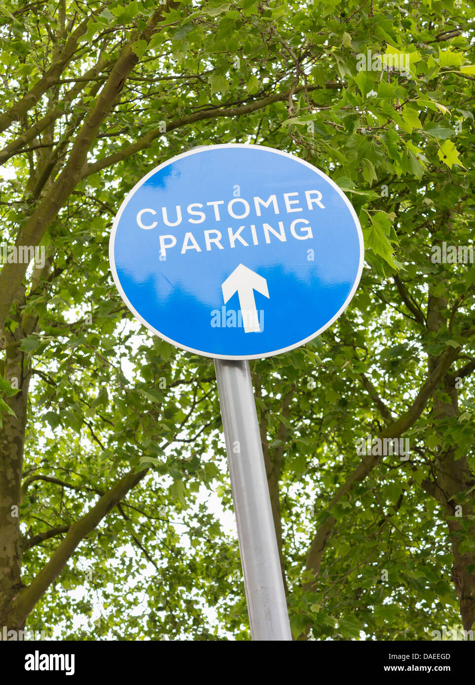 Kunden Parkplatz Schild, UK Stockfoto