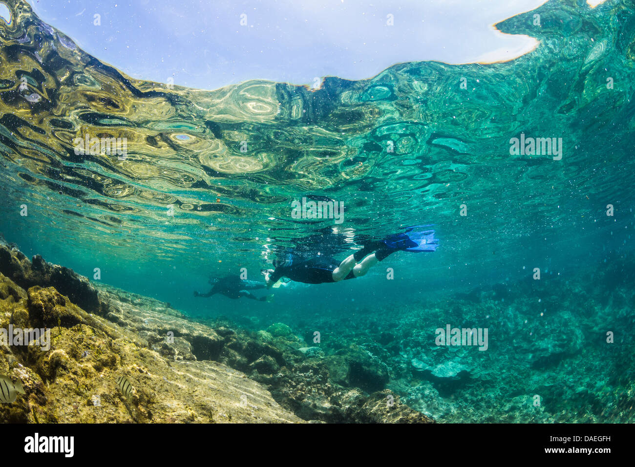 Schnorchler mit Blick in Richtung Oberflächenreflexe in die Kaoho Gezeitentümpel südlich von Hilo, Big Island, Hawaii, USA Stockfoto