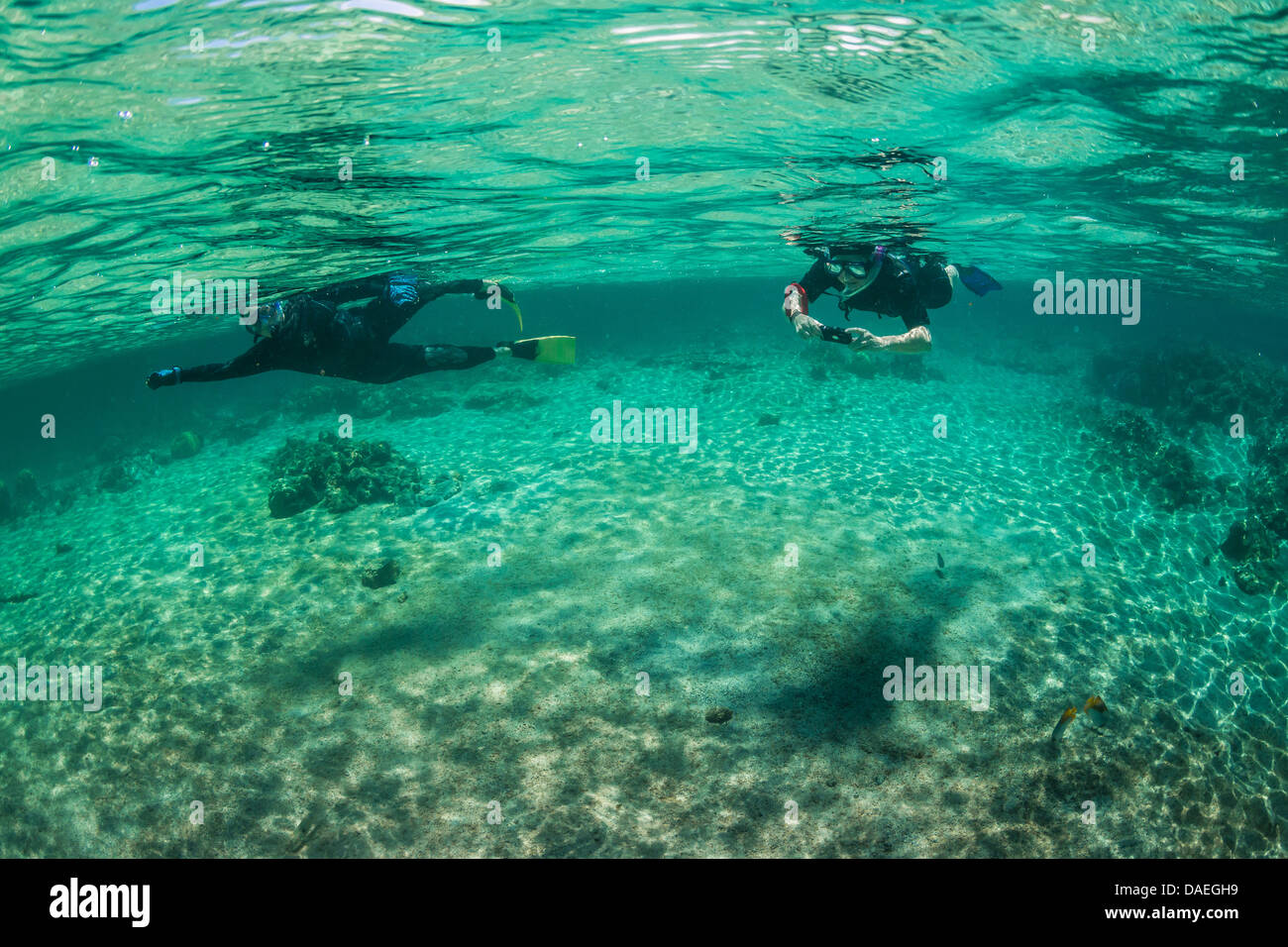 Schnorchler mit Oberflächenreflexe in die Kaoho Gezeiten-Pools, südlich von Hilo, Big Island, Hawaii, USA Stockfoto