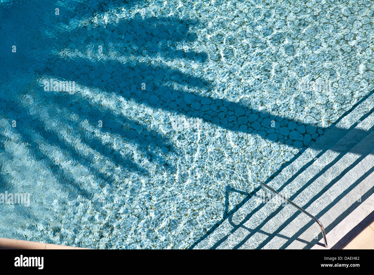 Swimming Pool mit Palmen Baum Schatten im Pool. Stockfoto