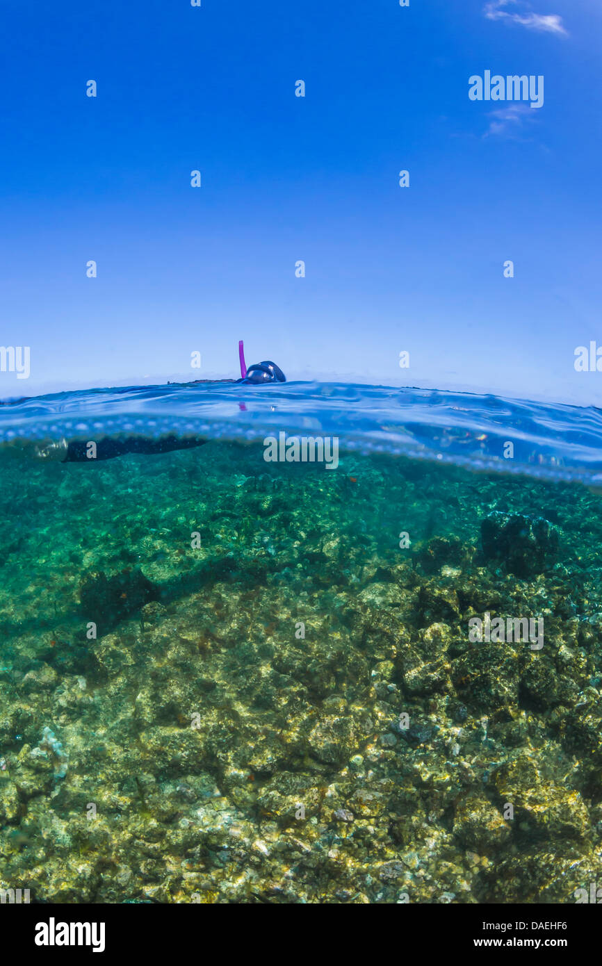 Schnorcheln in der Kaoho-Gezeiten-Pools (Wai'opae Tidepools Marine Life Conservation District), südlich von Hilo, Hawaii, USA Stockfoto