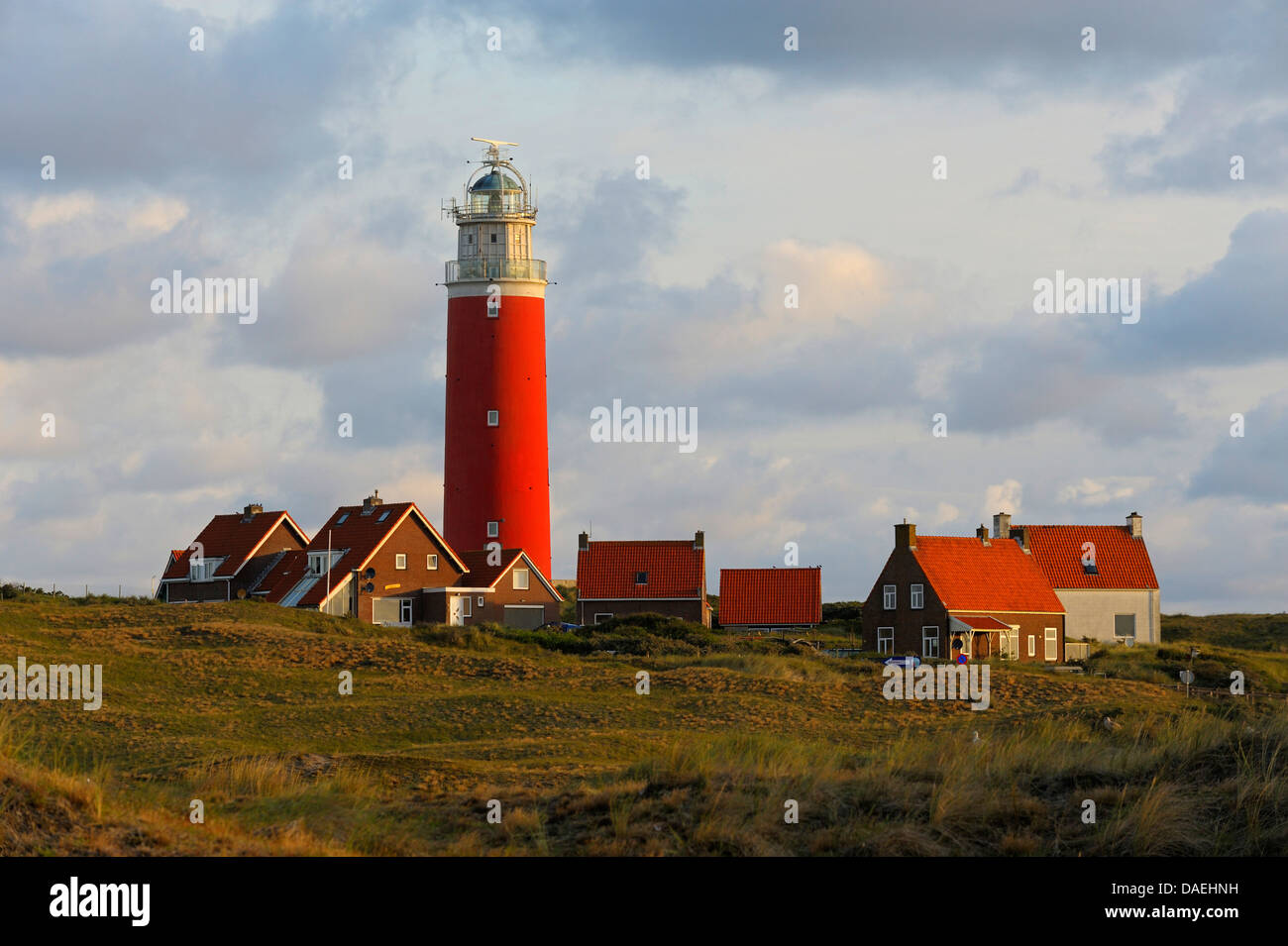 Eierland Leuchtturm am nördlichsten Zipfel von der niederländischen Insel Texel in Morgen Licht, Niederlande, Texel Stockfoto