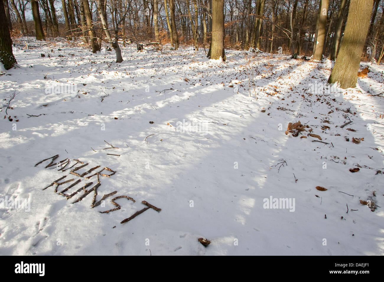 Schreiben Sie "Naturkunst - Natur-Kunst" im Schnee, Deutschland Stockfoto