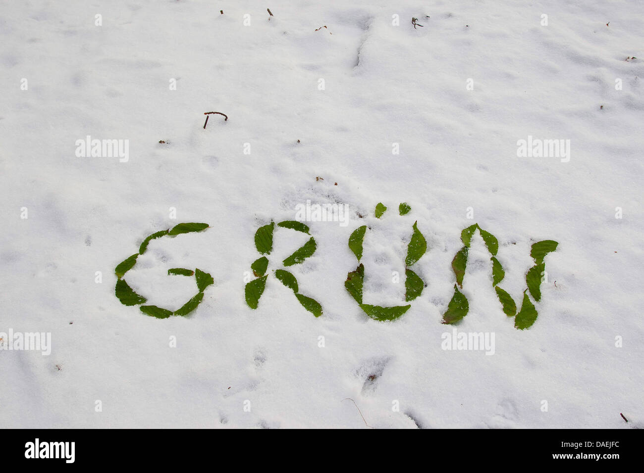 Schreiben "Gruen - grüne" machte der Blätter in den Schnee, Deutschland Stockfoto