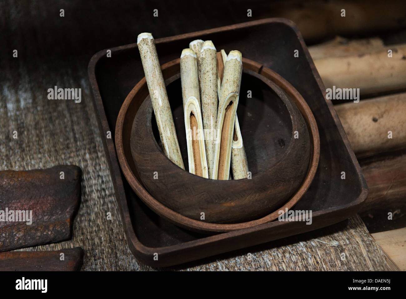 Droulers archäologische Stätte Interpretationszentrum - Replik eines Irokesen Dorfes, 15. Jahrhundert Stockfoto