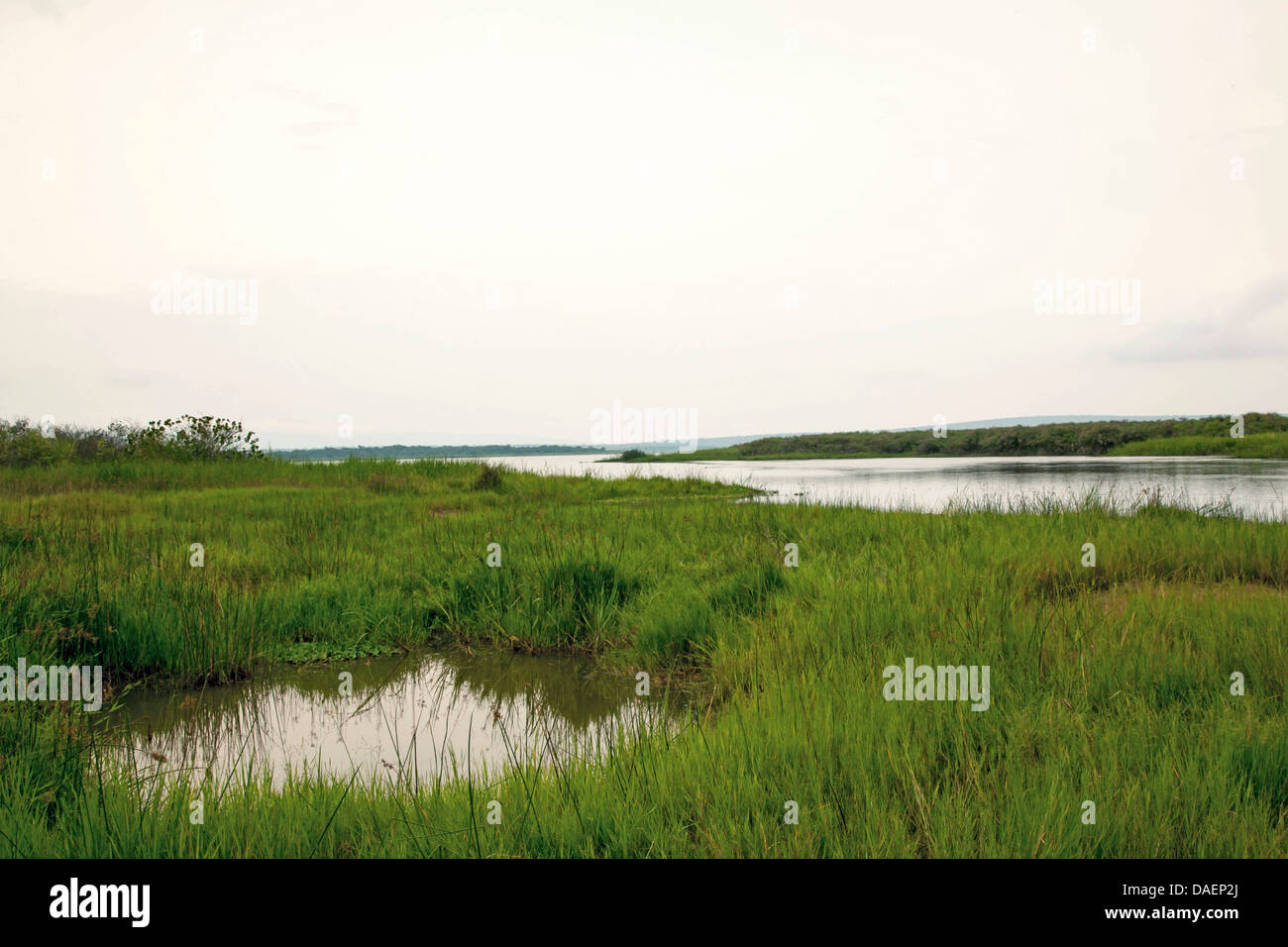 sumpfige Wiesen am See Ihema in der Regenzeit, Ruanda, Eastern Province, Akagera Nationalpark Stockfoto