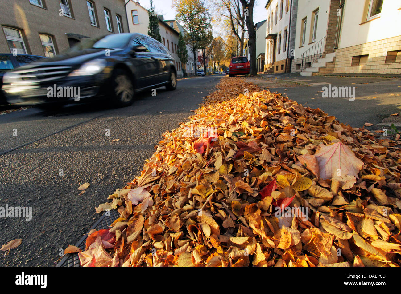 Herbstlaub am Straßenrand, Wetter/Ruhr, Ruhrgebiet, Nordrhein-Westfalen, Deutschland Stockfoto