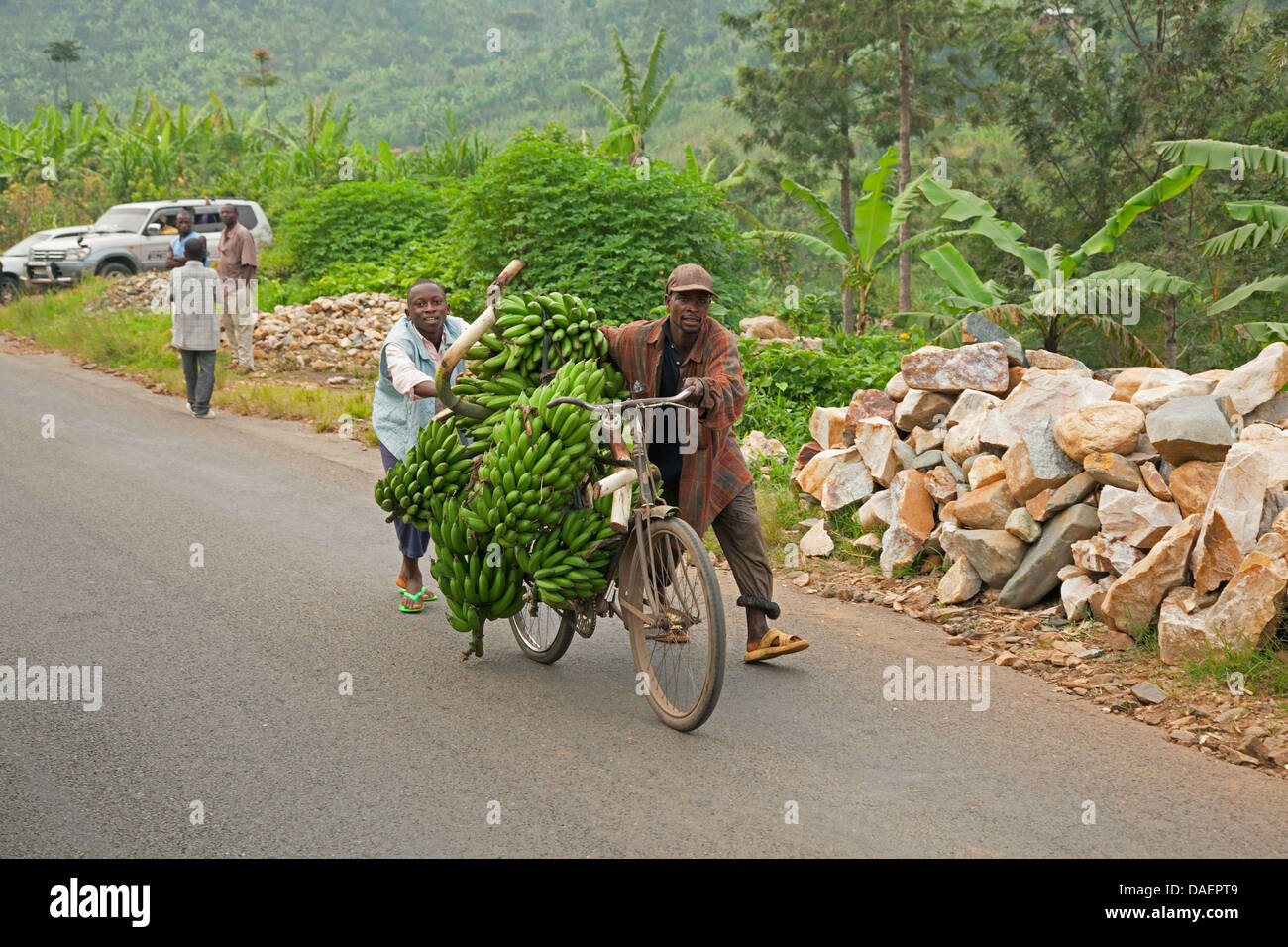 dokumentarfilm über transport von bananen auf fahrrad in ruanda