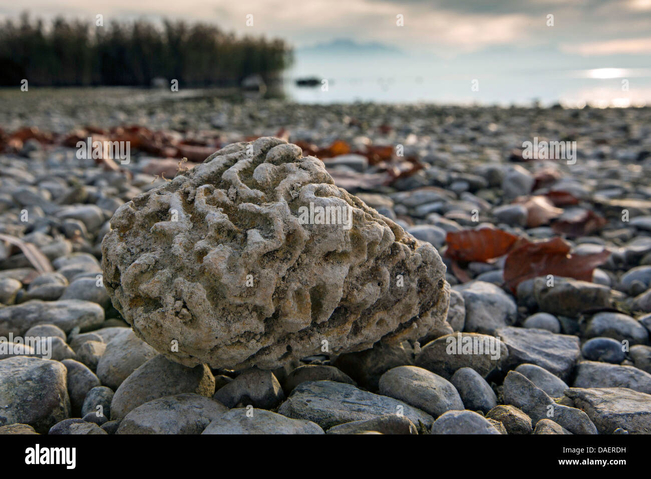 Brainstone am See, Deutschland, Bayern, See Chiemsee Stockfoto