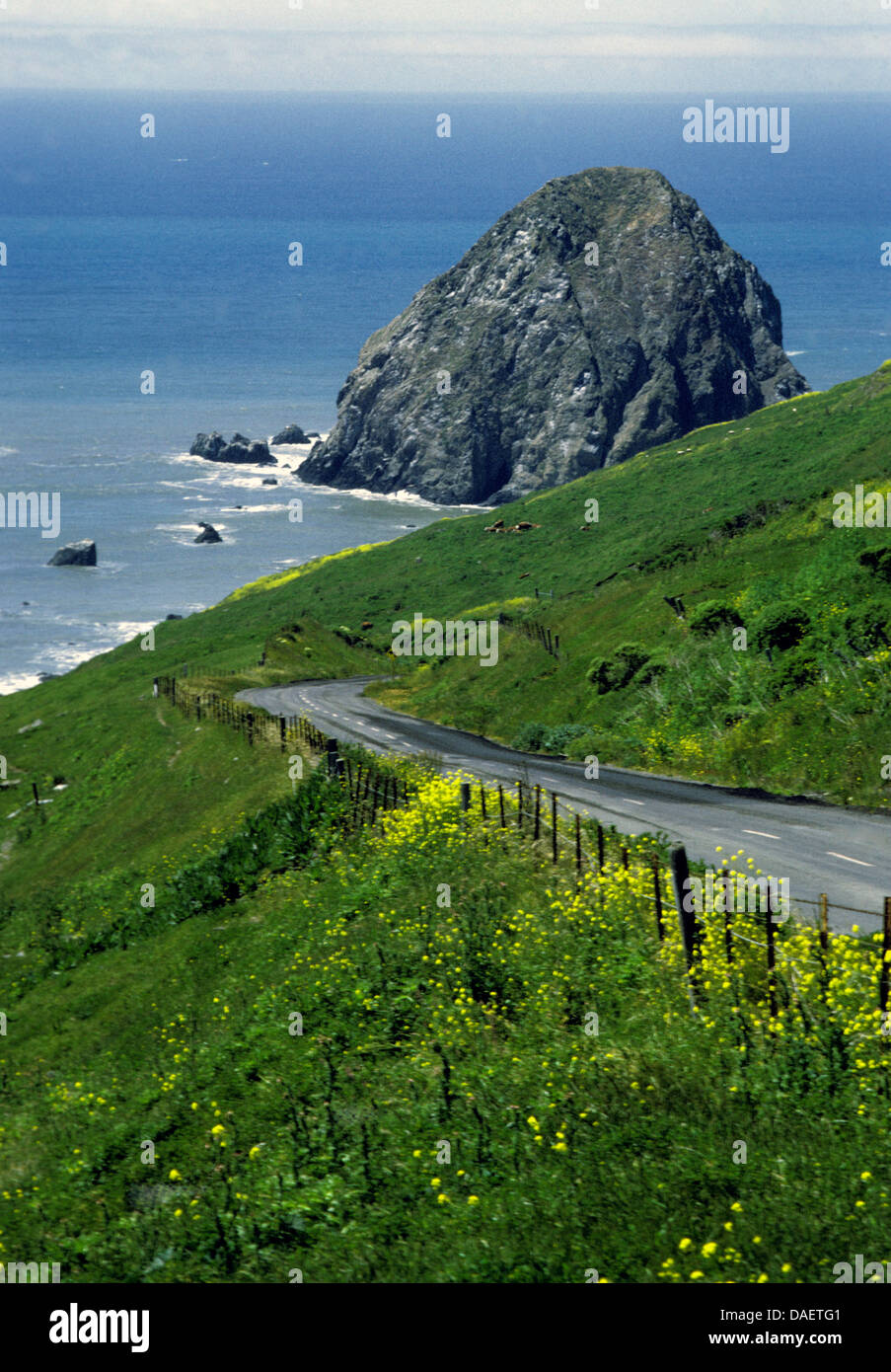 Landstraße im Humboldt County windet sich zum Pazifischen Ozean in der Nähe von Ferndale Stockfoto