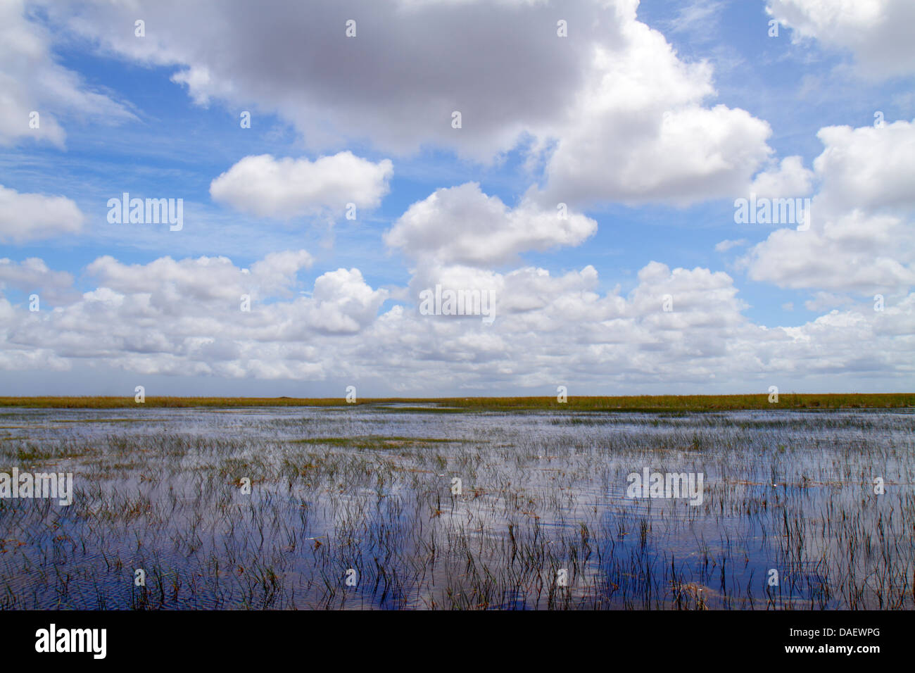 Fort Ft. Lauderdale Weston Florida, Fort Ft. Lauderdale, Sawgrass Recreation Park, Everglades, Freshwater slough, Water, Sky, Clouds, FL130601019 Stockfoto