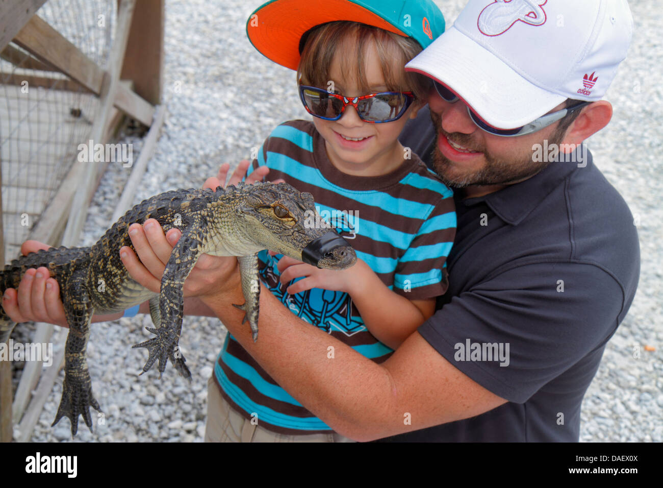 Fort Ft. Lauderdale Weston Florida, Fort Ft. Lauderdale, Sawgrass Recreation Park, Everglades, Baby Babys Kinder, Jugendliche Alligator, Holding, Junge b Stockfoto