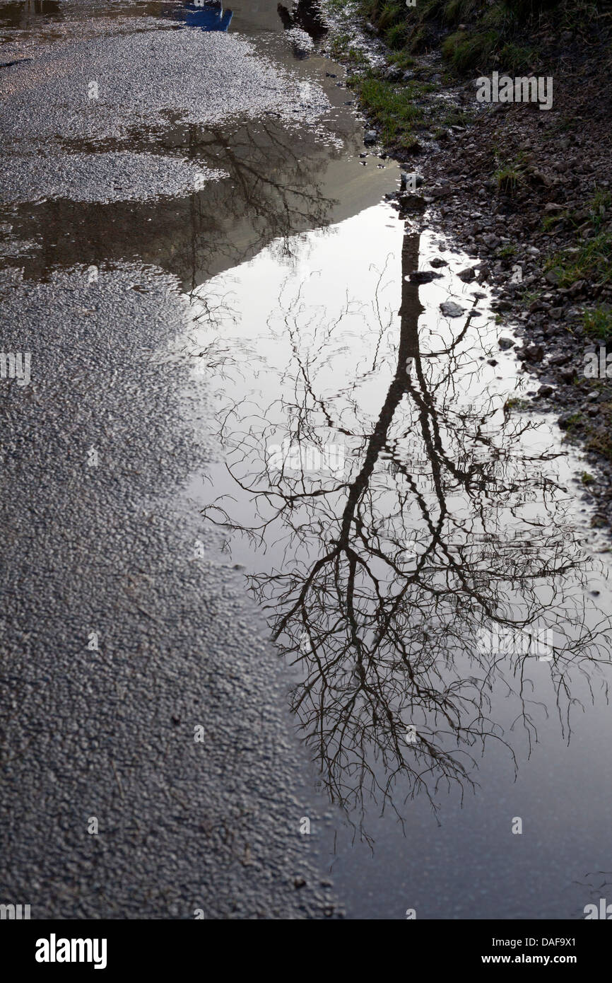 Reflexion von Thorpe Cloud in einer Pfütze Stockfoto