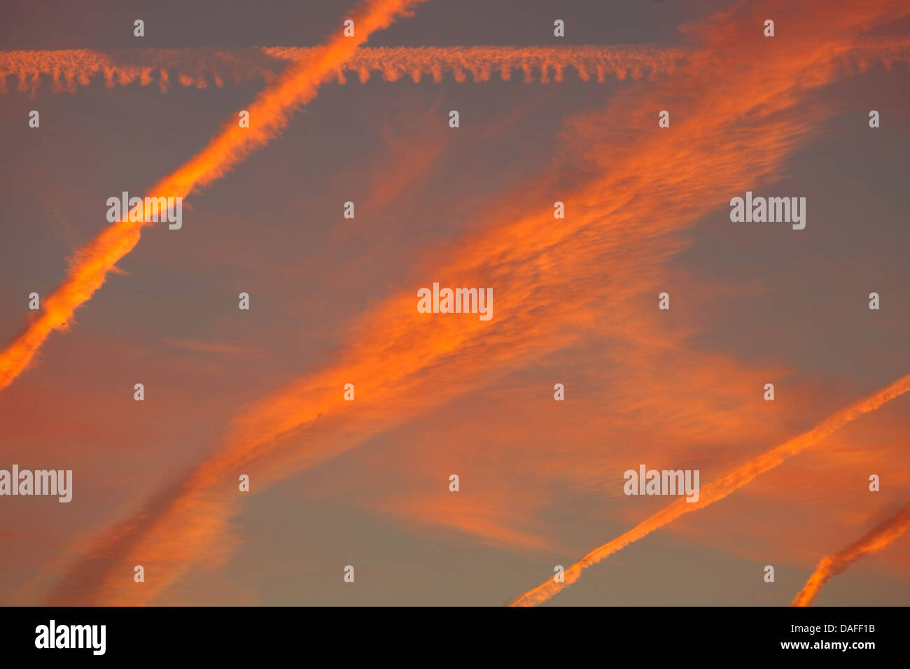 Kondensstreifen am Himmel im Morgenlicht, Deutschland Stockfoto Kondensstreifen am Himmel im Morgenlicht, Deutschland Stockfoto