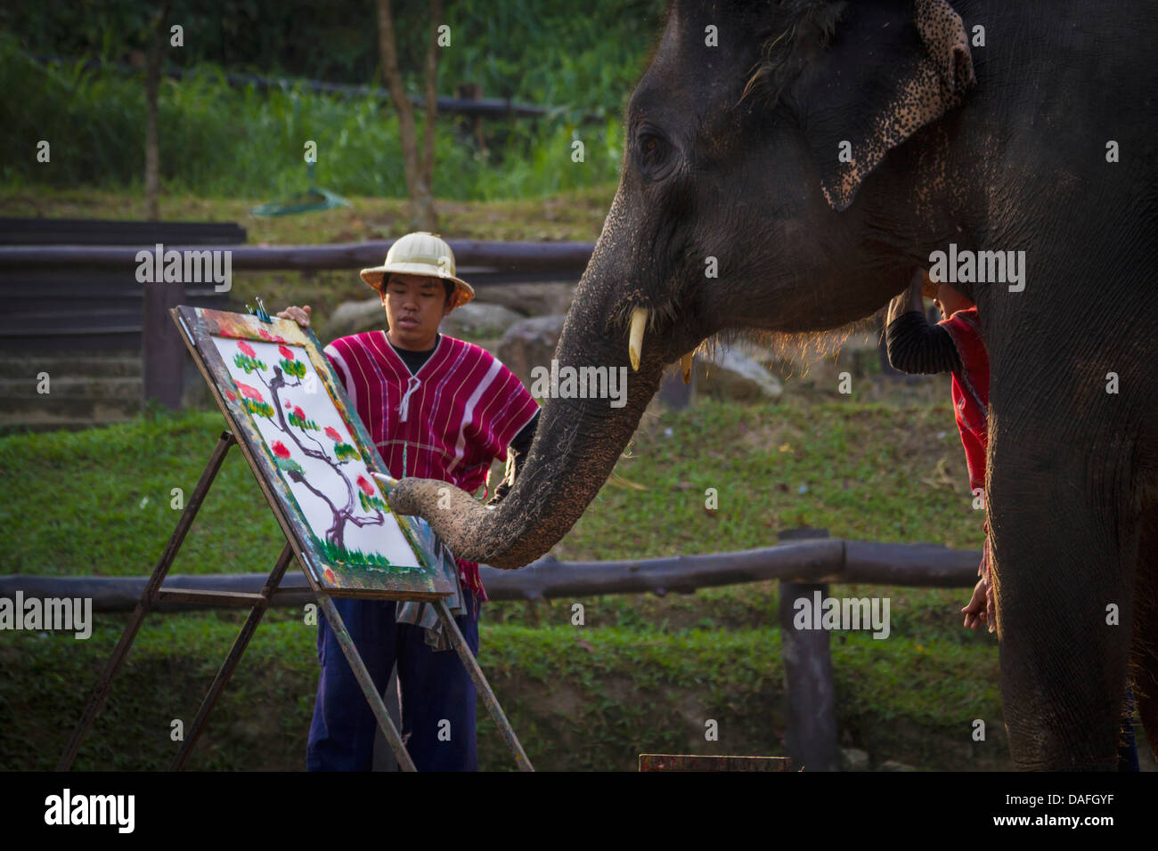 Thailand, Chiang Mai, Elefanten Gemälde Bild mit Stamm Stockfoto