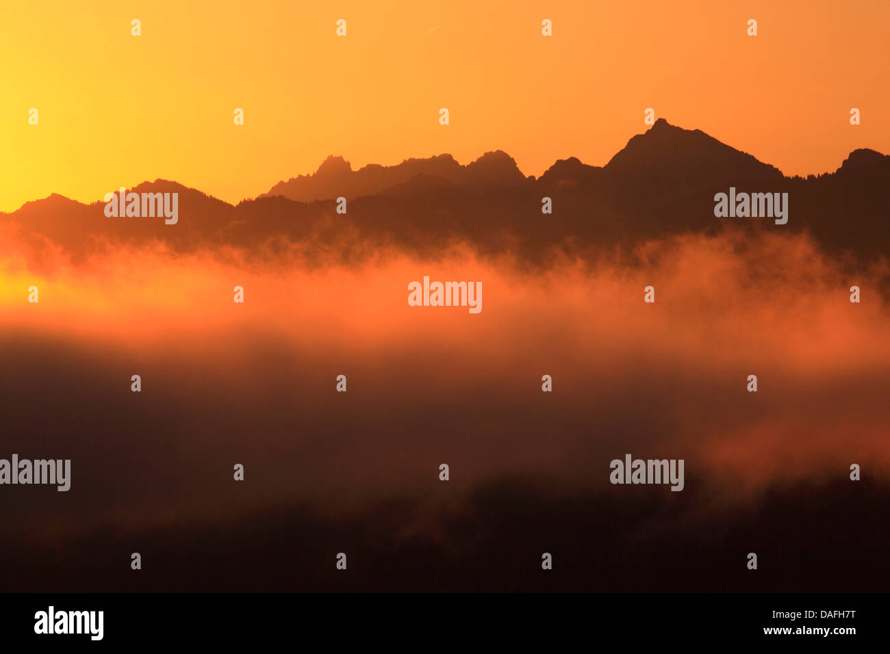 Blick vom Waedenswill zum Glarner Alpen mit Muertschenstock, Schweiz Stockfoto