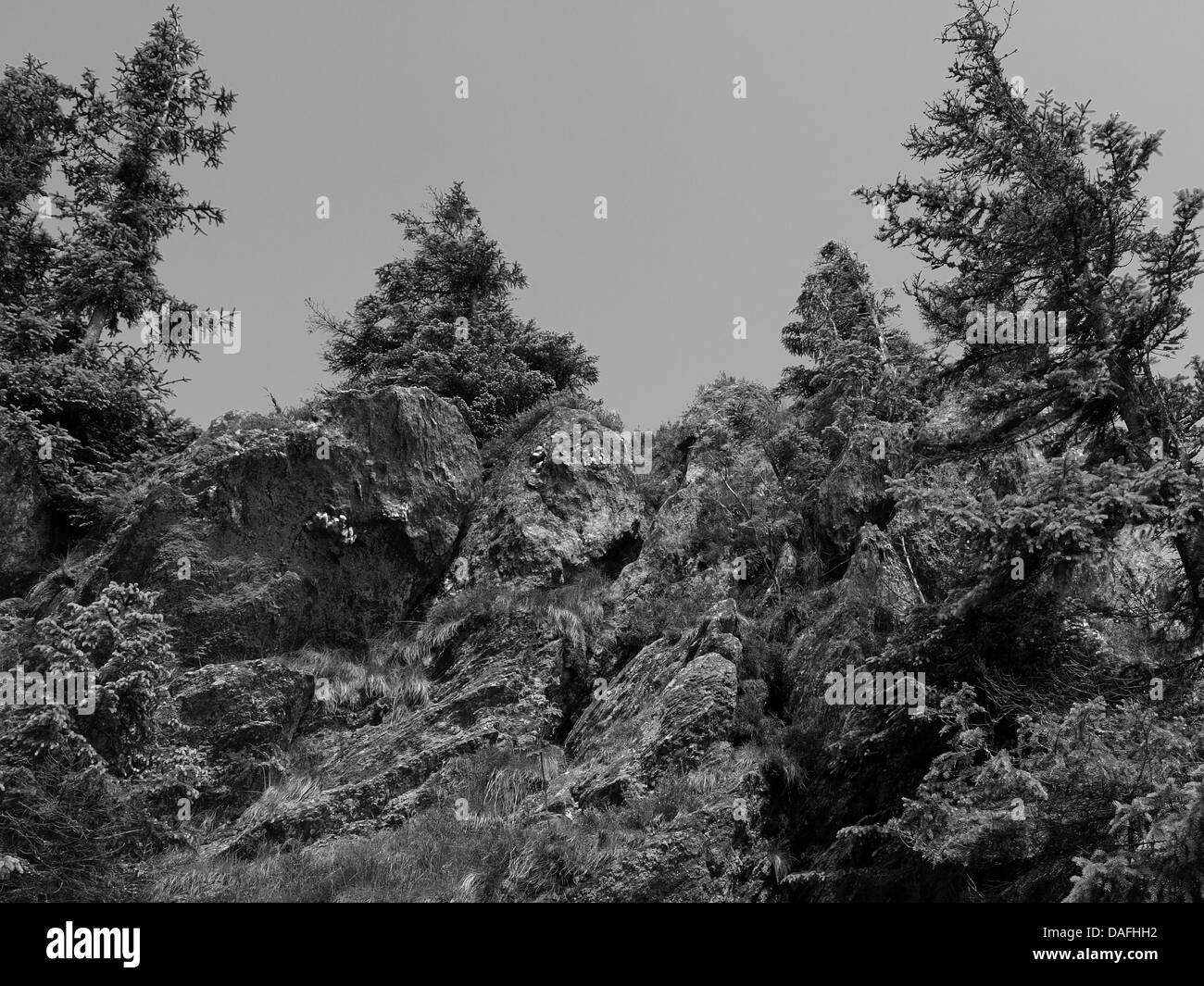 Gipfel-Felsen Osser Berg Bayerischer Wald, Bayern, Deutschland Stockfoto