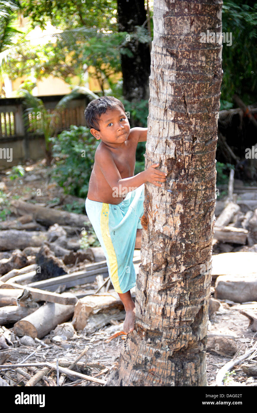 Kambodschanischen jungen Kletterbaum, Siem Reap, Kambodscha Stockfoto