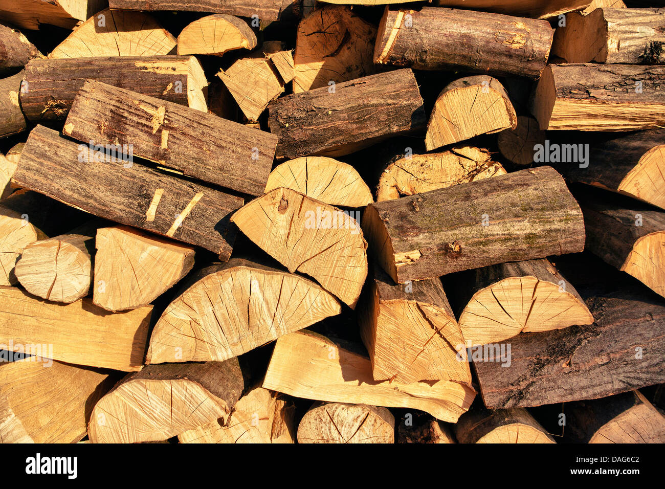 Scheitholz-stack Stockfoto
