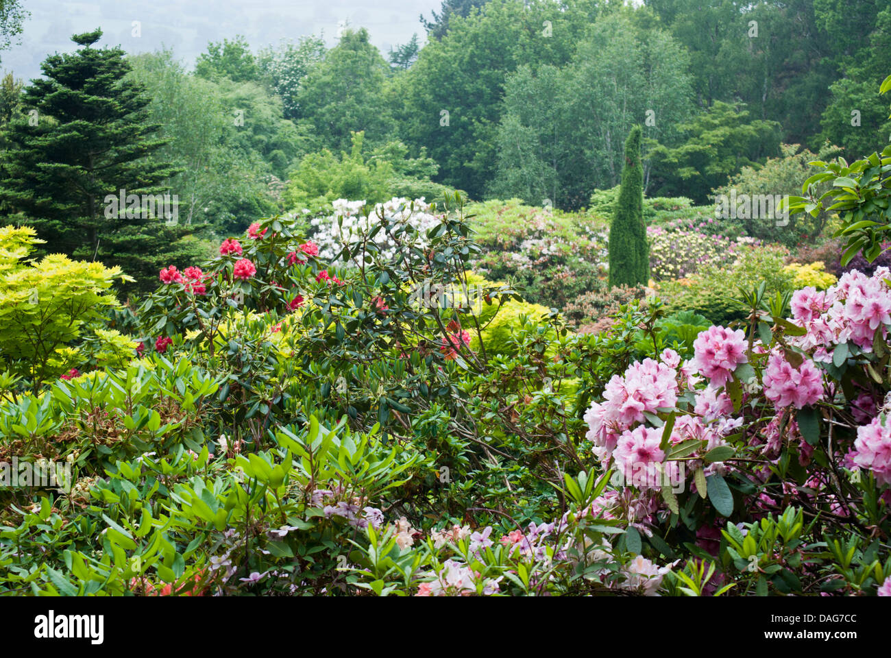 Informellen Garten Stockfoto