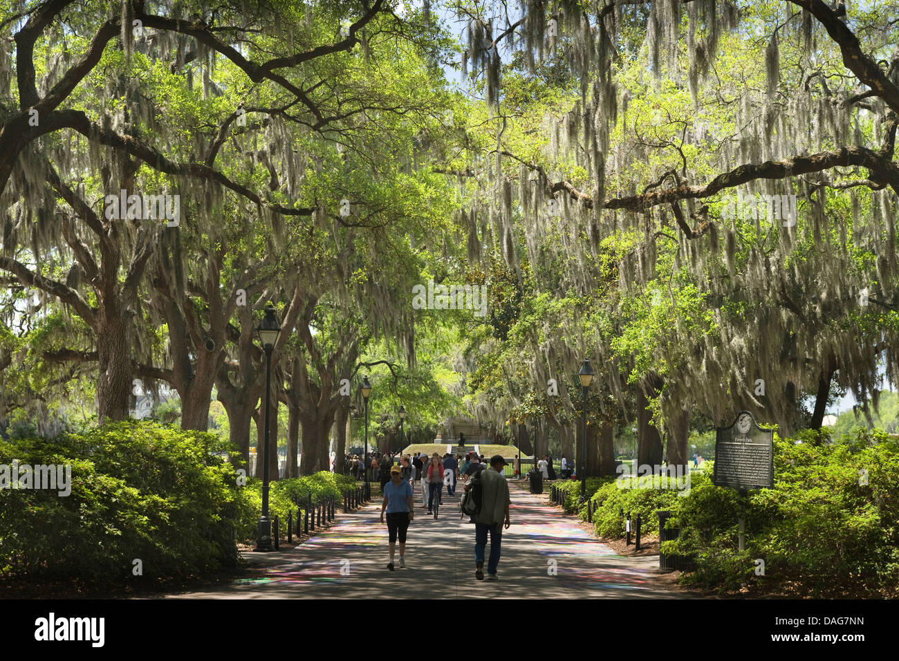 BÜRGERSTEIG ALLEE ARTS FESTIVAL MALL FORSYTH PARK SAVANNAH GEORGIA USA Stockfoto