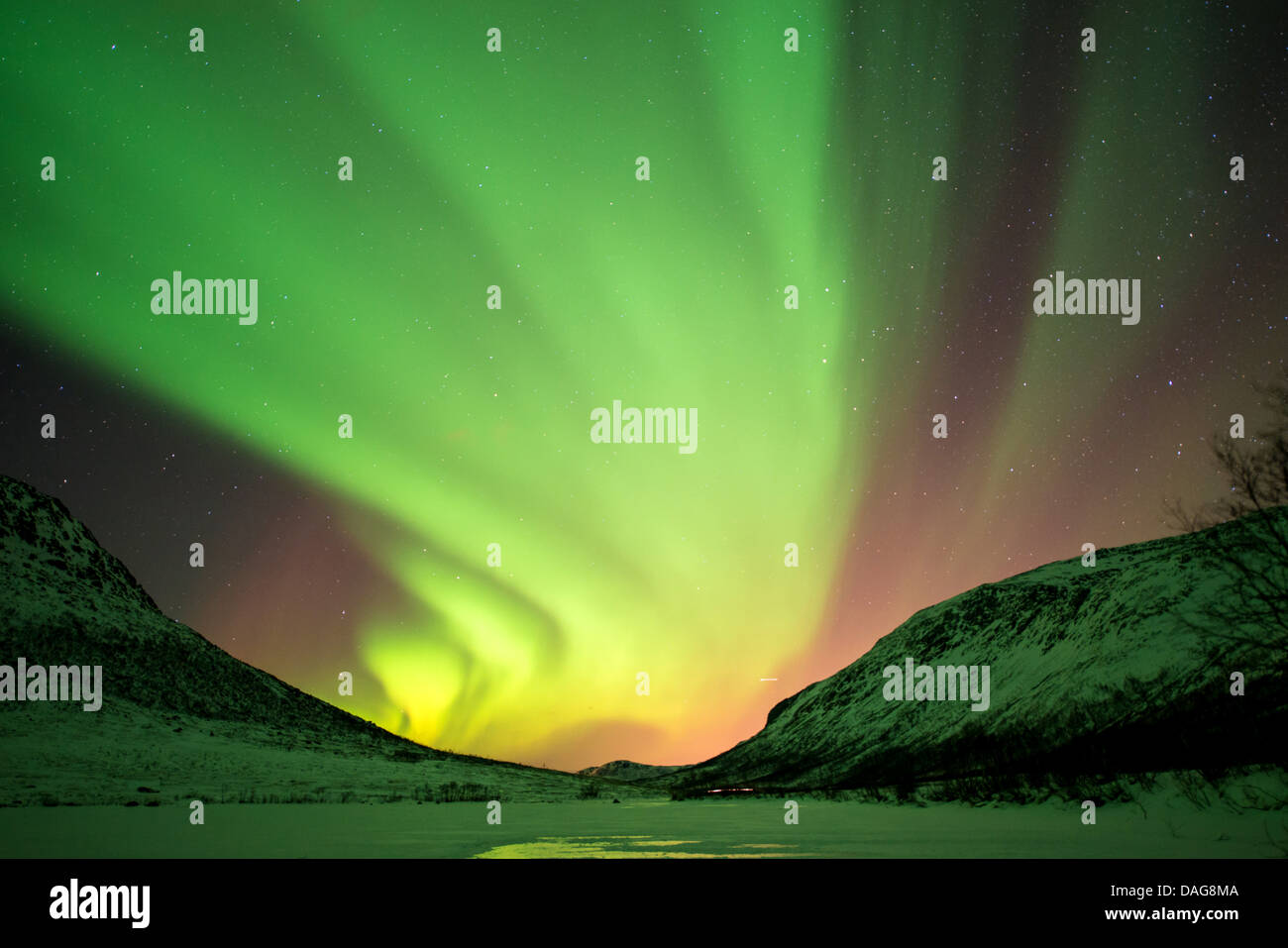 Aurora-Vorhang vor der bestirnte Himmel über tief verschneiten Tal, Kattfjordeidet, Kvaloea, Troms, Norwegen Stockfoto