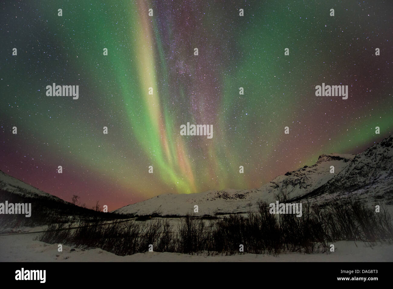 Aurora-Vorhang vor der Milchstraße über Tverrfjellet (675 m), Norwegen, Troms, Kvaloea, Kattfjordeidet Stockfoto