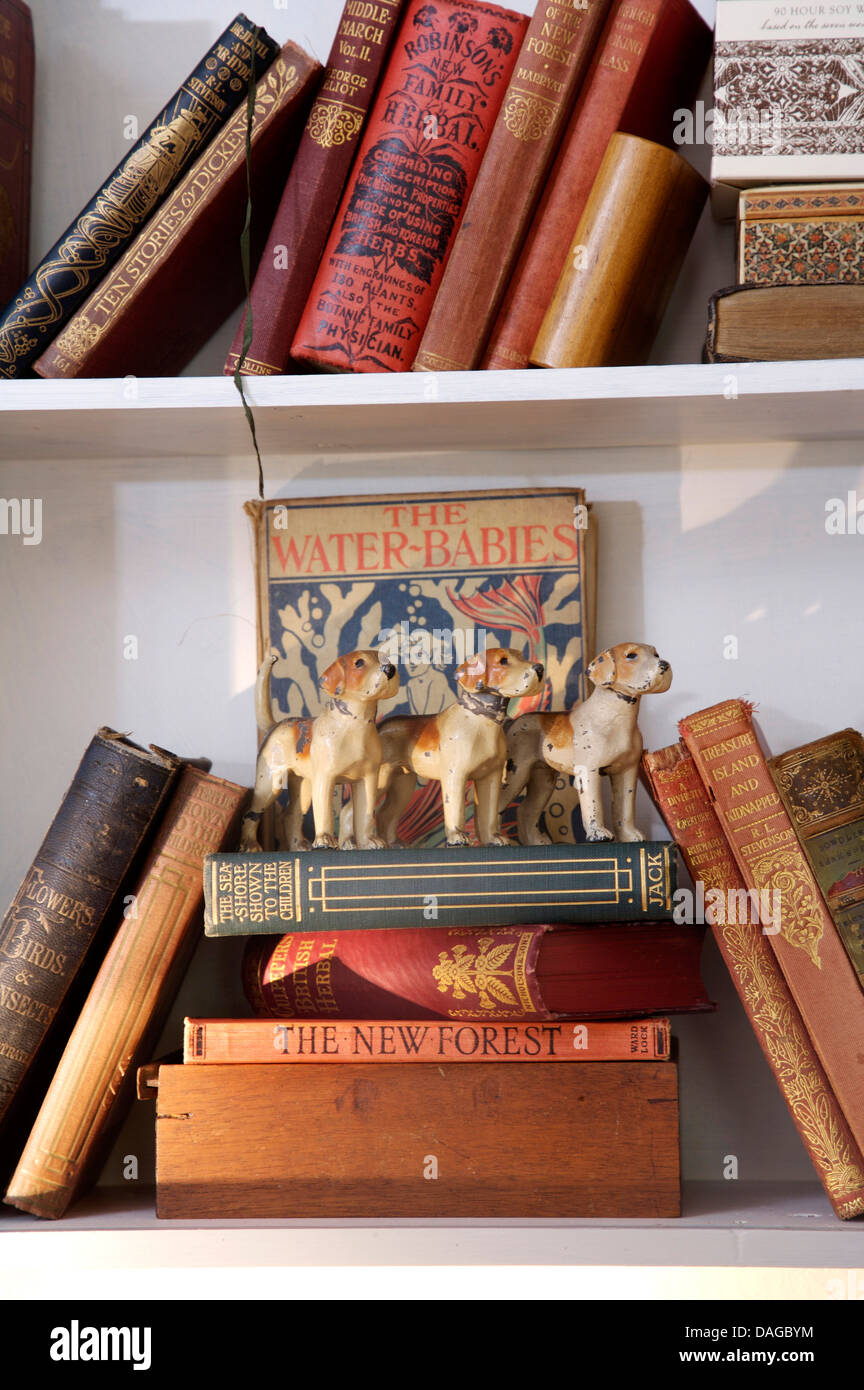 Alte Leder gebundene Bücher in den Regalen mit Vintage China Hunde Stockfoto