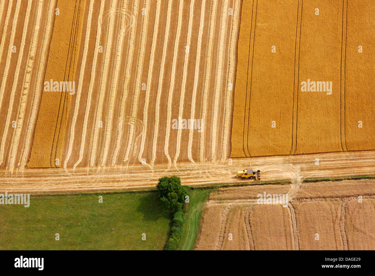 Ernte Stockfoto