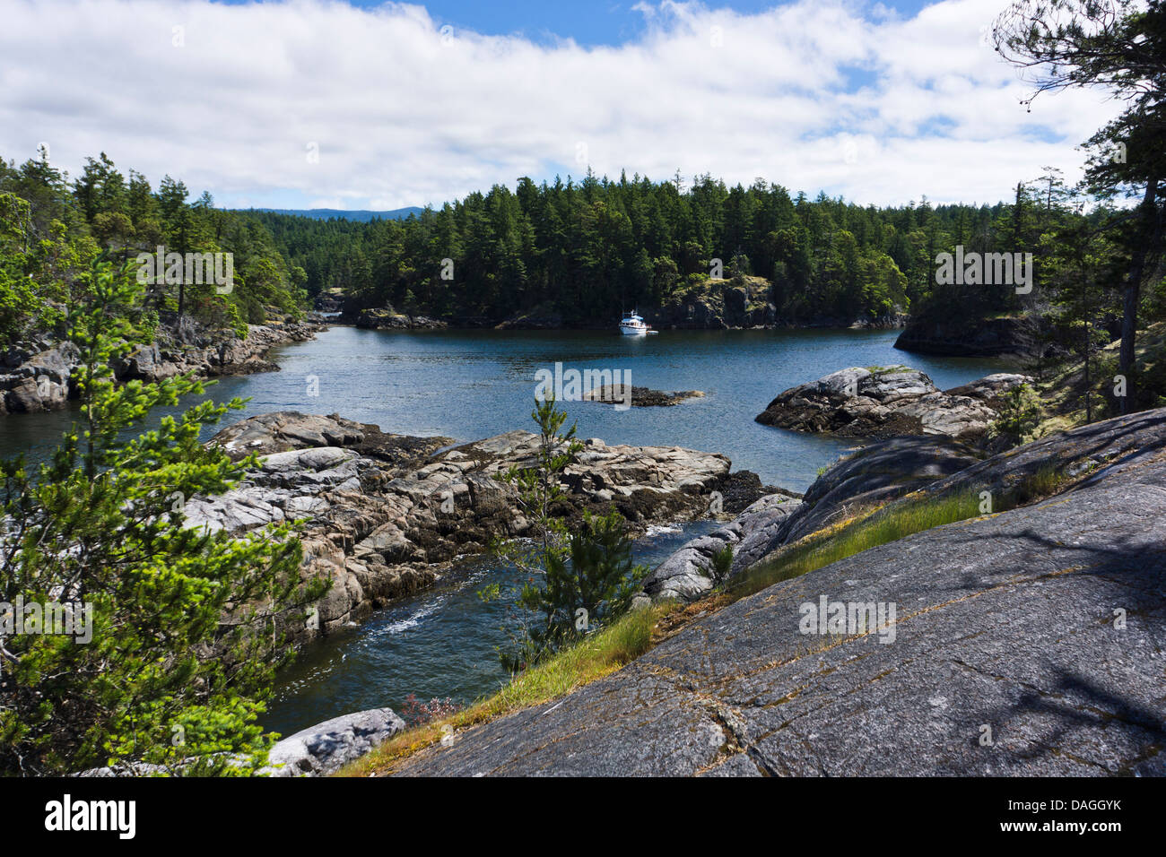 Schmuggler Cove Marine Provincial Park, Sunshine Coast, British Columbia, Kanada Stockfoto
