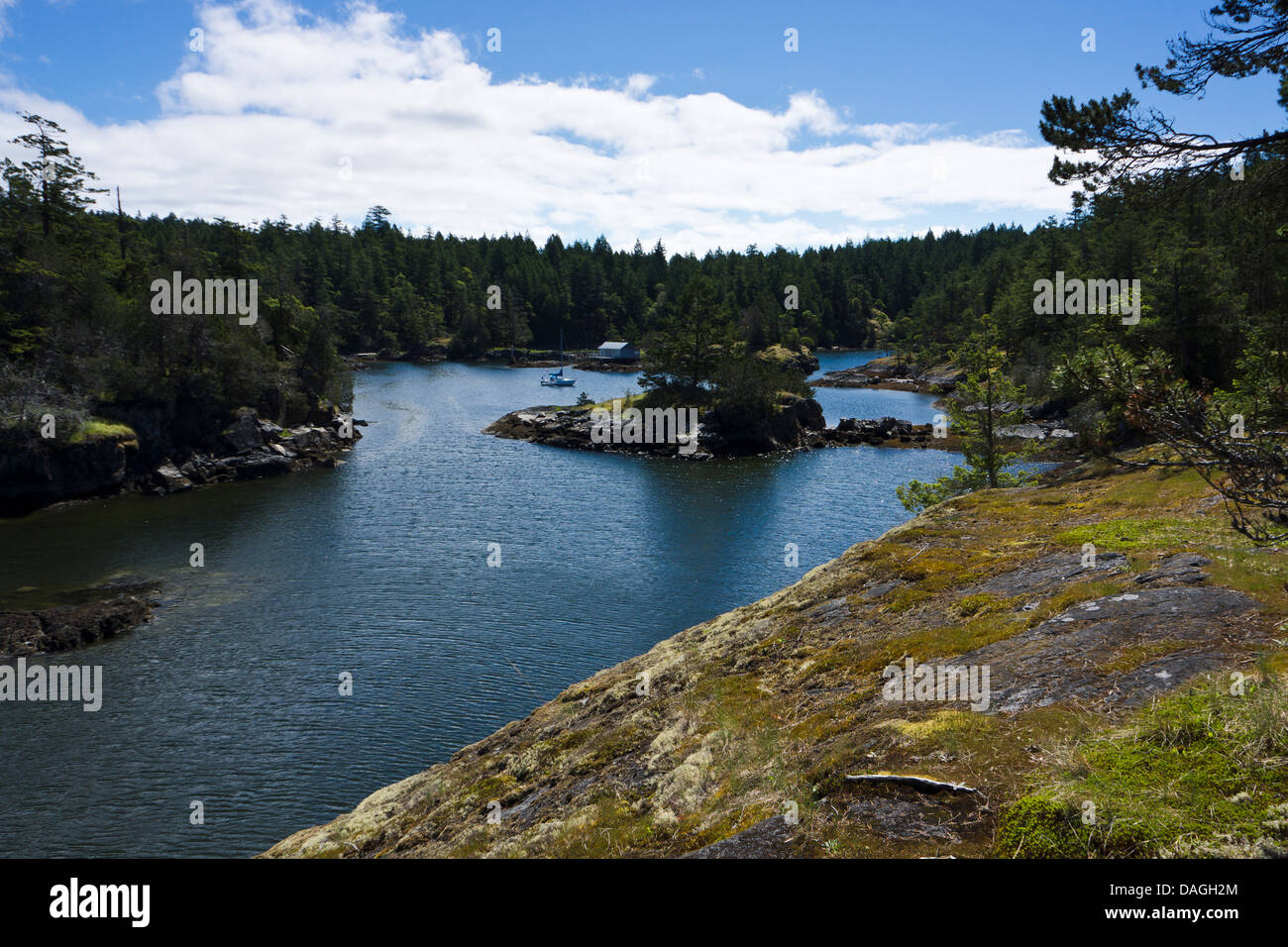 Schmuggler Cove Marine Provincial Park, Sunshine Coast, British Columbia, Kanada Stockfoto