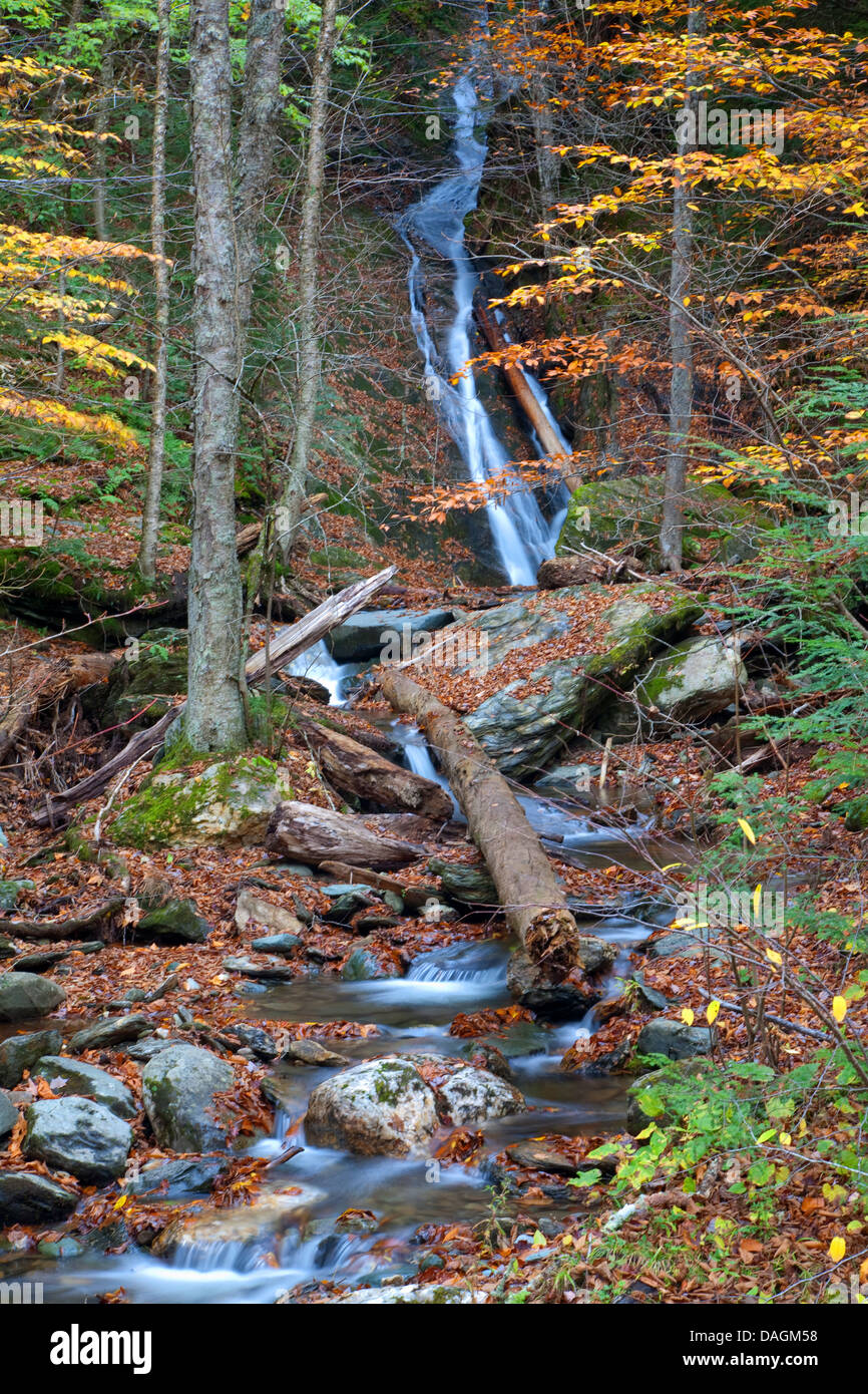 Wilder Bach mit Findlingen im herbstlichen Wald, Lincoln, Franconia Notch State Park, New Hampshire, USA Stockfoto