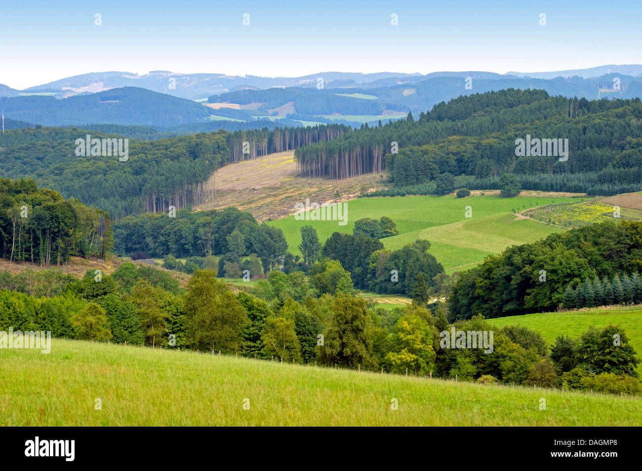 Blick zum Sauerland in Richtung Asten, Cobbenrode, Sauerland, Nordrhein-Westfalen, Deutschland Stockfoto