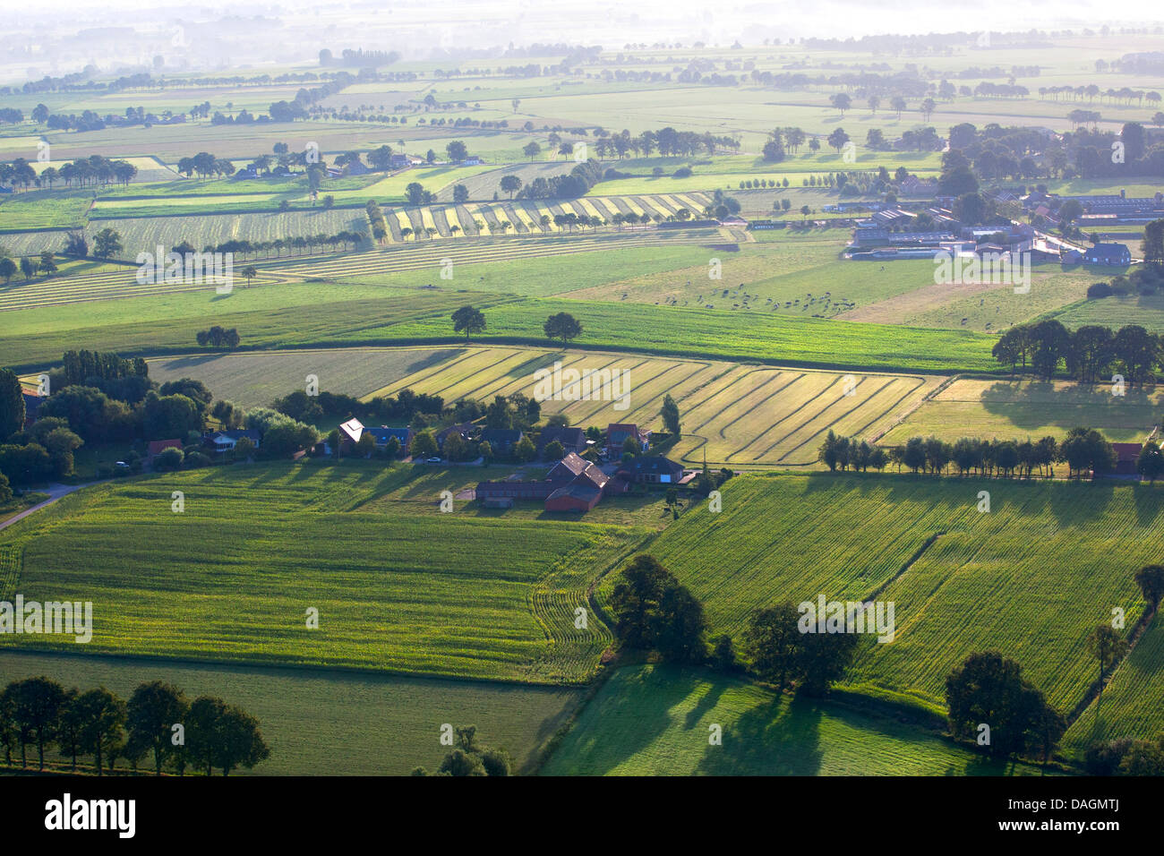 Luftbild, Agrargebiet mit Feldern, Wiesen und Hecken im Frühjahr, Belgien, Kempen Stockfoto