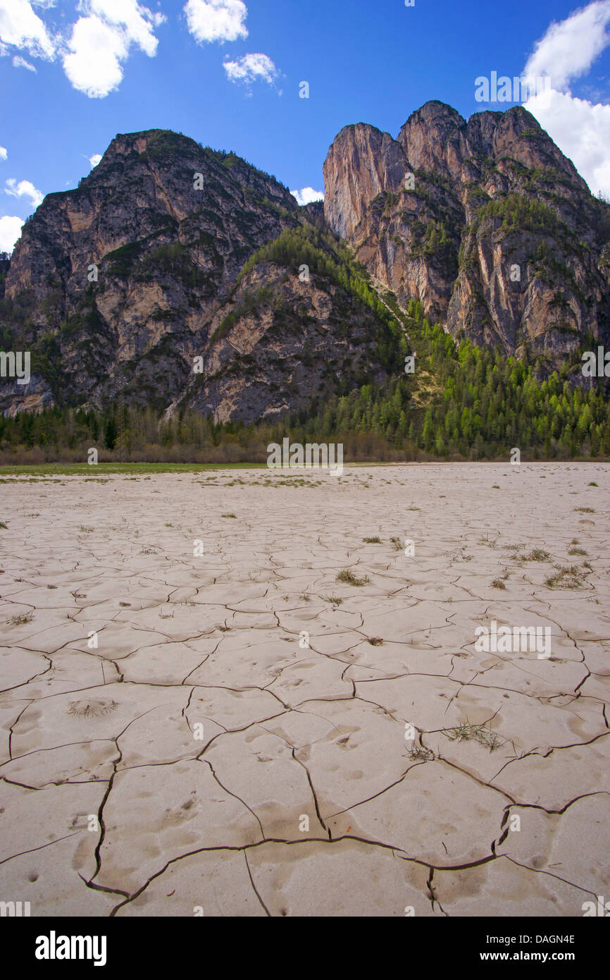 Schwindung Risse am Lago di Landro, Geierwand im Hintergrund, Italien, Südtirol, Dolomiten, Valle di Landro Stockfoto