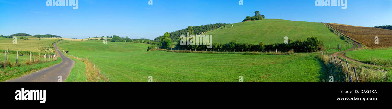 hügelige Feld Landschaft, Blankenheim, Hohe Eifel, Nordrhein-Westfalen, Deutschland Stockfoto