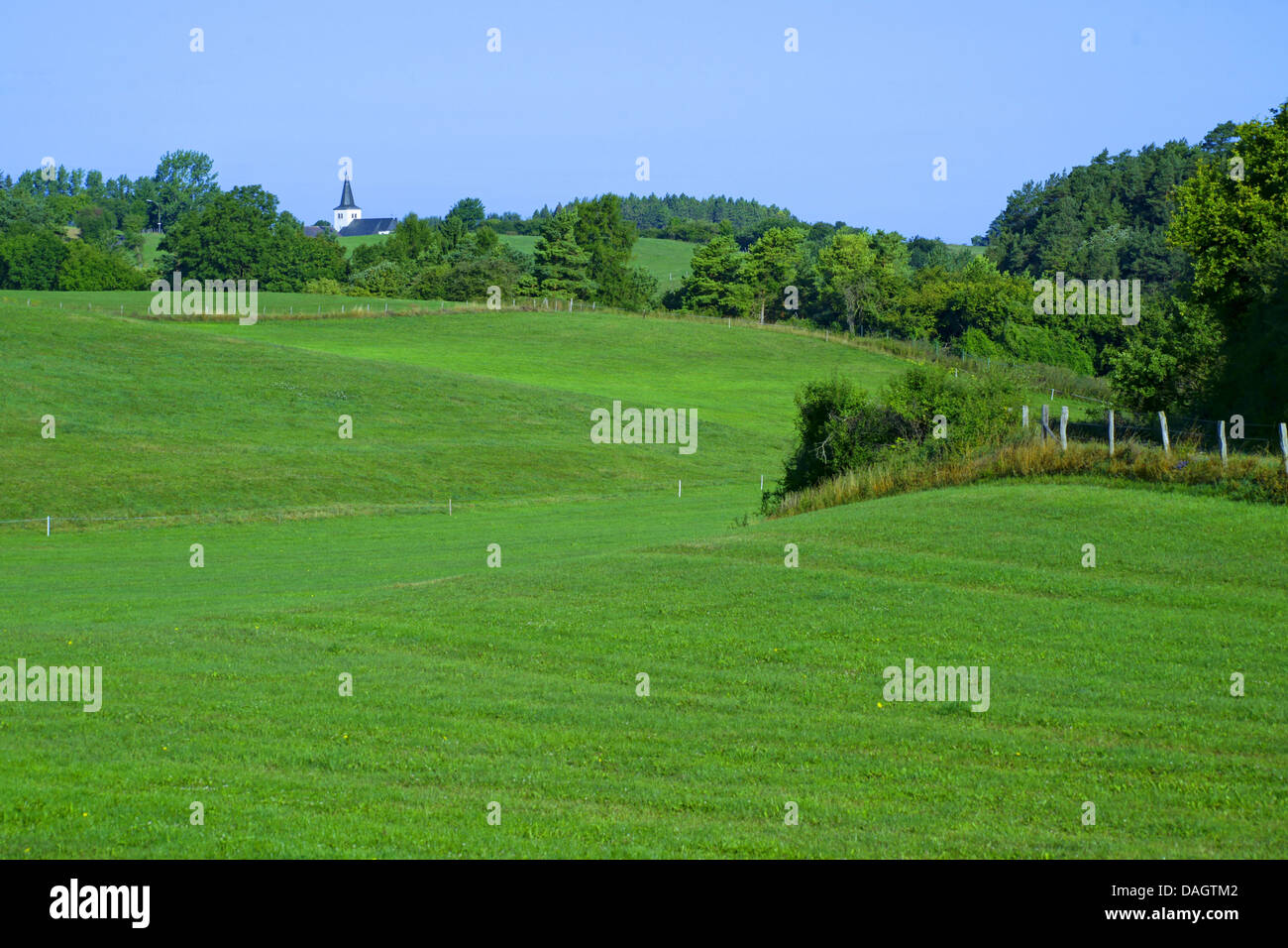 hügelige Auenlandschaft, Blankenheim, Hohe Eifel, Nordrhein-Westfalen, Deutschland Stockfoto