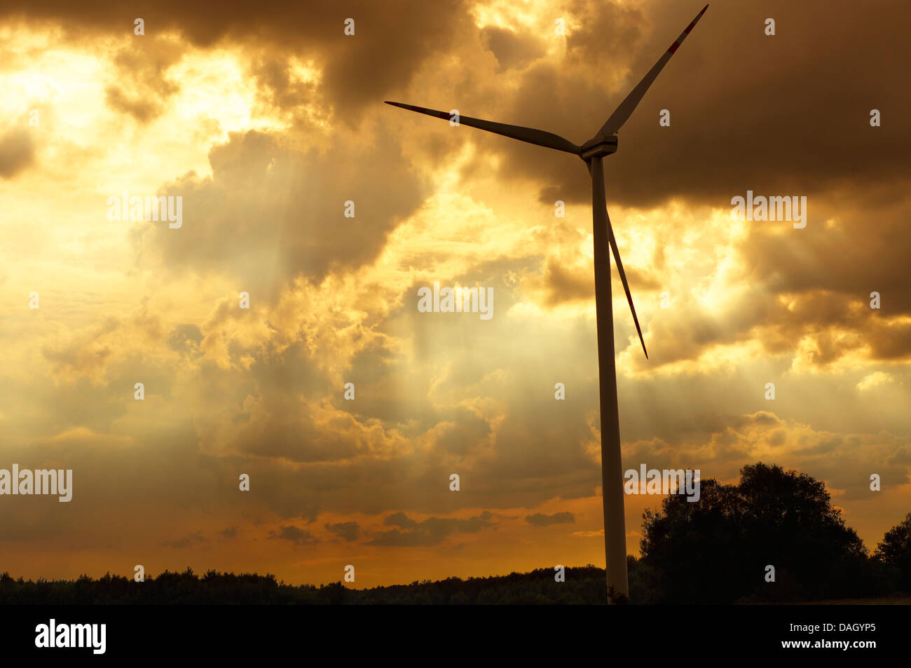 Windmühlen bei Sonnenuntergang im Sommer Stockfoto