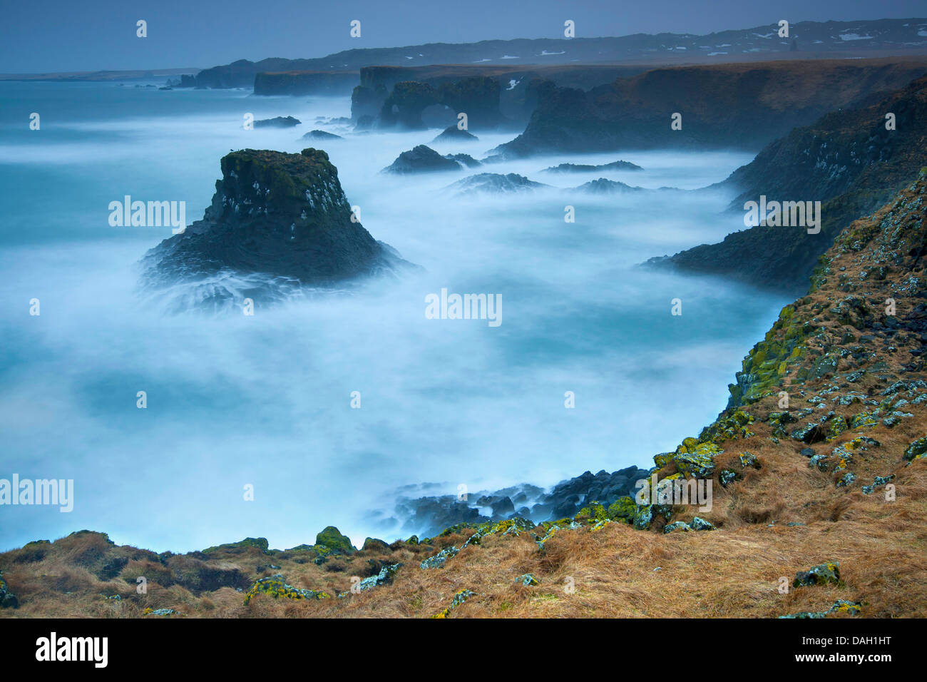 Felsenküste, Island, Snaefellsness, Arnarstapi Stockfoto
