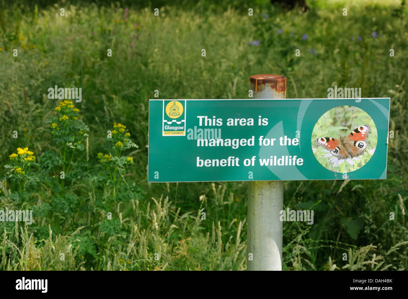 Wildlife Schutzgebiet von Glasgow City Council verwaltet. Stockfoto