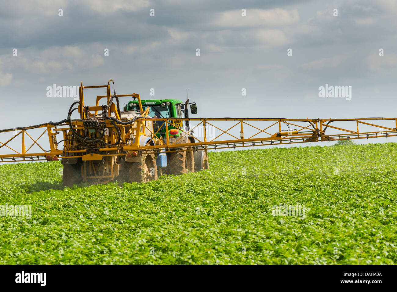 Mechanisiert, versprühen von kommerziellen Kartoffelernte gegen Knollenfäule Stockfoto