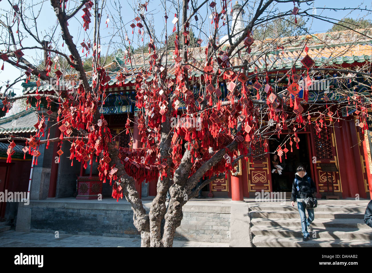 Kleine Charms mit Neujahr Wünsche im Yong'An-Tempel (Tempel des ewigen Friedens) im Beihai-Park, Beijing Stockfoto