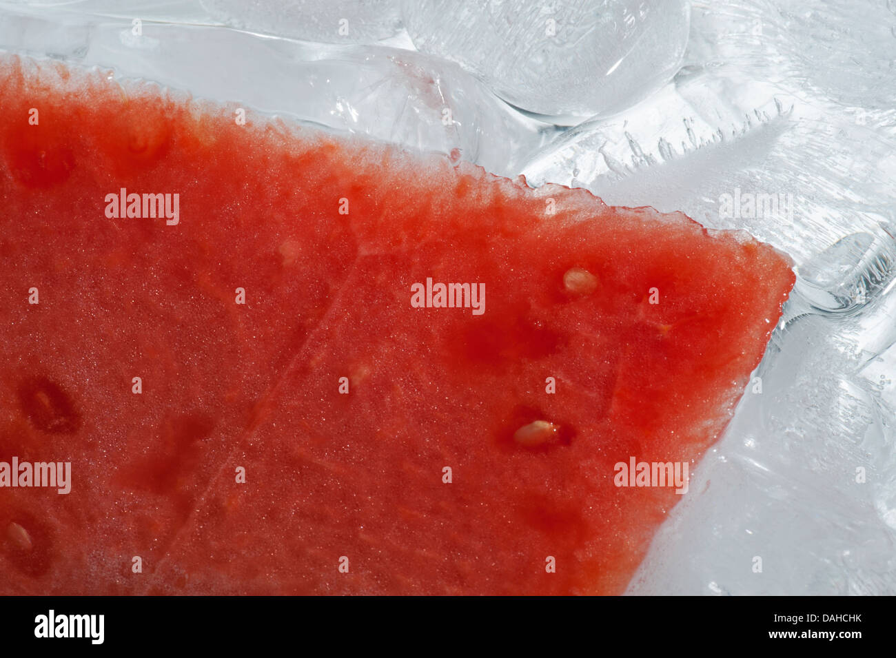 Wassermelone - rote Wassermelone im Eis Stockfoto