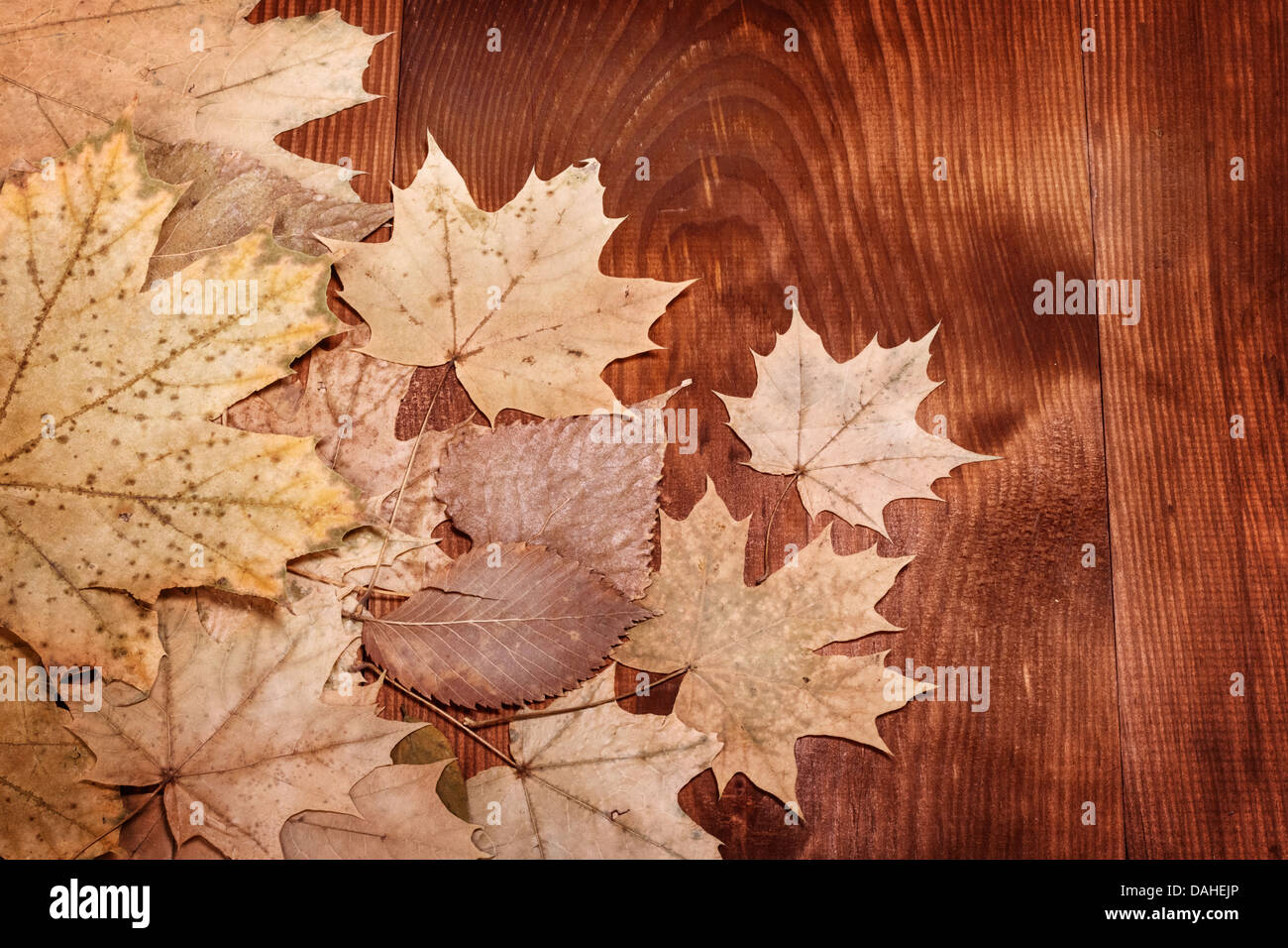 Herbst Hintergrund mit Blättern auf Holzbrett Stockfoto