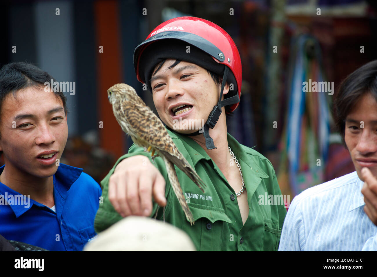 Vietnamesische Vogel Verkäufer Demonastrating ein Raubvogel auf einem Markt-Publikum. Bac Ha, Provinz Lao Cai, Vietnam Stockfoto