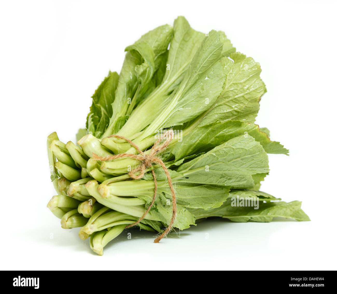 Eine Reihe von Chinakohl über dem weißen Hintergrund isoliert Stockfoto